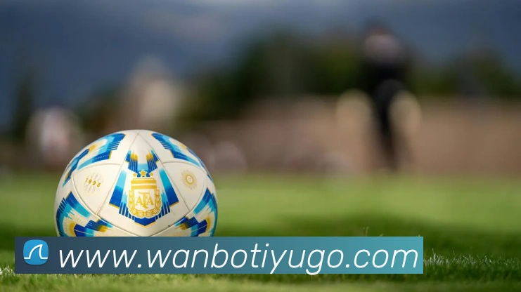 英媒报道狼队希望重新签回特劳雷以提升球队表现和士气