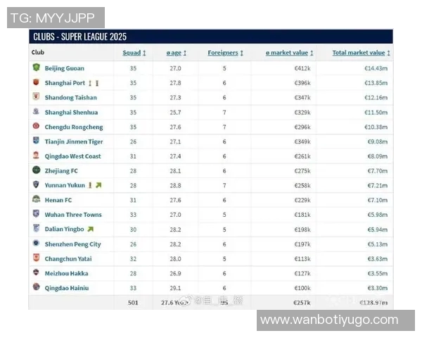 德国转会市场网发布2025年中超联赛球员身价年终更新引发关注 德国转会市场网发布2025年中超联赛球员身价年终更新引发关注